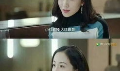 吃瓜娱乐圈全部小说推荐,吃瓜群众眼中的璀璨星河